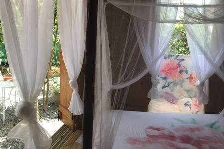 Aux Iles D'Amour Terre-De-Haut Phòng bức ảnh